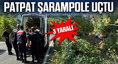 Devrek’te patpat şarampole uçtu