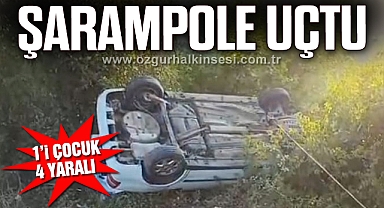 Direksiyon hakimiyetini kaybetti, şarampole uçtu
