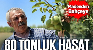 Emekli madenci, 80 tonluk hasat bekliyor