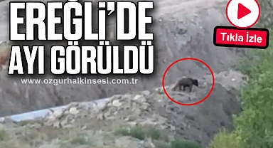 EREĞLİ'DE AYI GÖRÜLDÜ