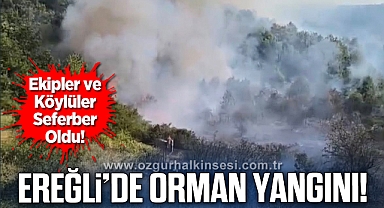 Ereğli'de Orman Yangını! Ekipler ve Köylüler Seferber Oldu