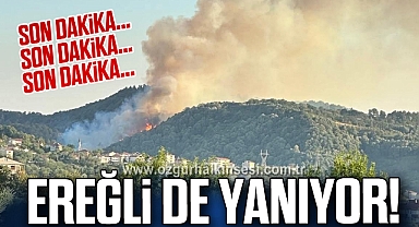 EREĞLİ DE YANIYOR!