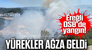 Ereğli OSB'de Yangın!