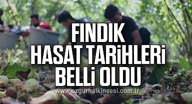 Fındık hasat tarihleri belli oldu