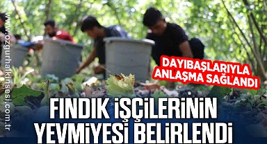 FINDIK İŞÇİLERİNİN YEVMİYESİ BELİRLENDİ