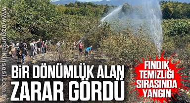 Fındık Temizliği Sırasında Yangın