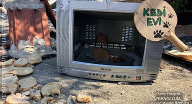 Günün Fotoğrafı...