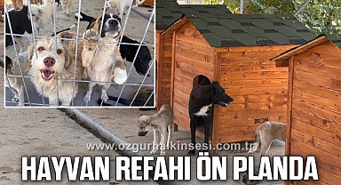 Hayvan refahı ön planda
