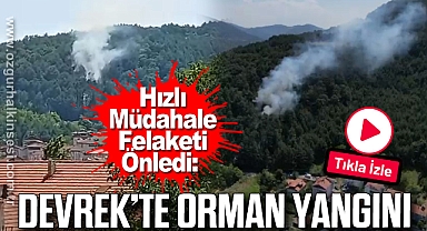 Hızlı Müdahale Felaketi Önledi: Devrek'te Orman Yangını