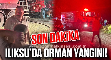 ILIKSU’DA ORMAN YANGINI!
