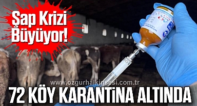 İşte Karantina İlan Edilen 72 Köy