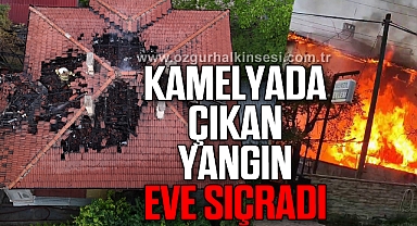 Karabük'te kamelyada çıkan yangın eve sıçradı