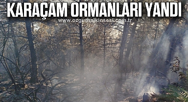 KARAÇAM ORMANLARI YANDI