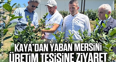 Kaya’dan Yaban Mersini üretim tesisine ziyaret