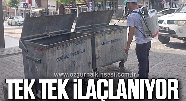 Konteynerler tek tek ilaçlanıyor