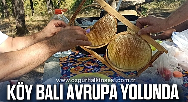 Köyünde ürettiği balı Avrupa’ya pazarlamayı amaçlıyor
