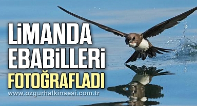 LİMANDA EBABİLLERİ FOTOĞRAFLADI