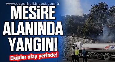 Mesire Alanında Yangın! Ekipler olay yerinde...