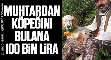 MUHTARDAN KÖPEĞİNİ BULANA 100 BİN LİRA