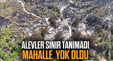 Orman yangınında köyün bir mahallesi yok oldu