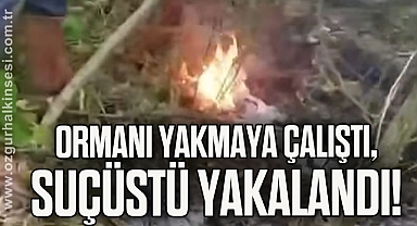Ormanı Yakmaya Çalıştı, Suçüstü Yakalandı!