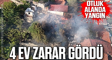 Otluk alanda yangın: 4 ev zarar gördü