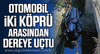 Otomobil iki köprü arasından dereye uçtu