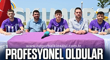 Profesyonel Oldular