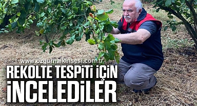 REKOLTE TESPİTİ İÇİN İNCELEDİLER