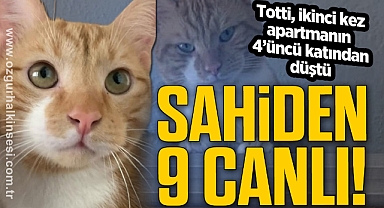 SAHİDEN 9 CANLI!