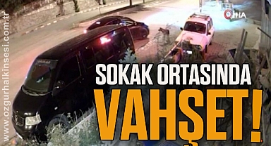SOKAK ORTASINDA VAHŞET