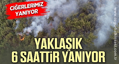 Söndürme çalışmaları yaklaşık 6 saattir sürüyor