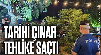 Tarihi Çınar Tehlike Saçtı