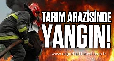 Tarım Arazisinde Yangın!