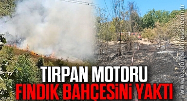 Tırpan motoru fındık bahçesini yaktı