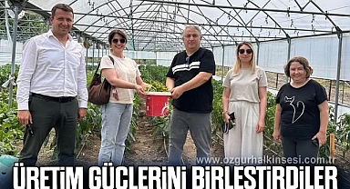 Üretim güçlerini birleştirdiler