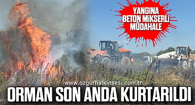 Yangına Beton Mikserli Müdahale: Orman Son Anda Kurtarıldı