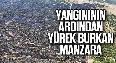 Yangınının ardından yürek burkan manzara