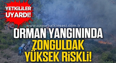 Yetkililer Uyardı! Orman Yangınında Zonguldak Yüksek Riskli!