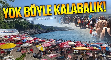 YOK BÖYLE KALABALIK!