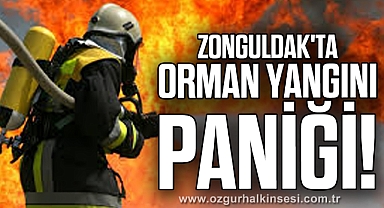 Zonguldak'ta Orman Yangını Paniği!
