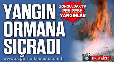 Zonguldak'ta Peş Peşe Yangınlar: Alaplı'daki Yangın Ormana Sıçradı