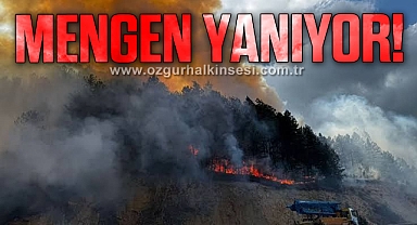 Bolu'daki orman yangını yayılıyor: 7 helikopterle havadan destek