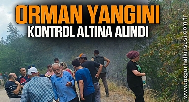 Çatalzeytin'de çıkan orman yangını kontrol altına alındı