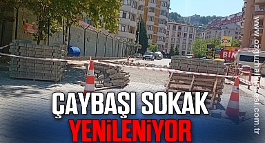 Çaybaşı Sokak Yenileniyor