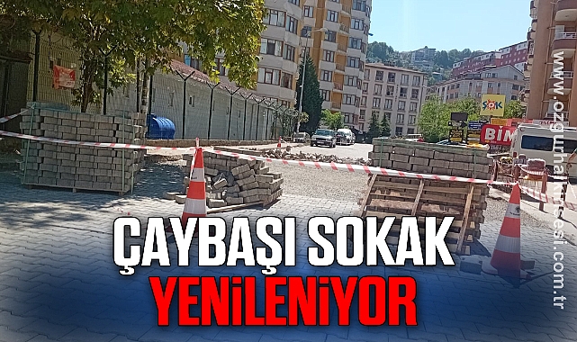 Çaybaşı Sokak Yenileniyor