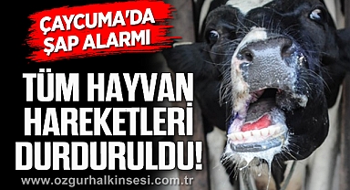 ÇAYCUMA'DA ŞAP ALARMI!
