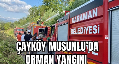 ÇAYKÖY MUSUNLU'DA ORMAN YANGINI