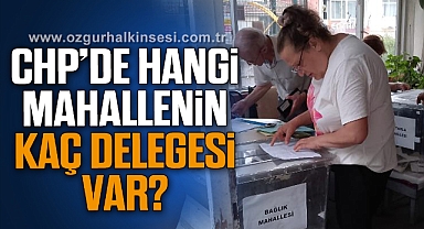 CHP'de hangi mahallenin kaç delegesi var?