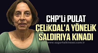 CHP'li Pulat, Çelikdal'a Yönelik Saldırıya Kınadı